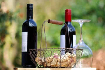 Immagine ribera del duero vino presentacion.webp